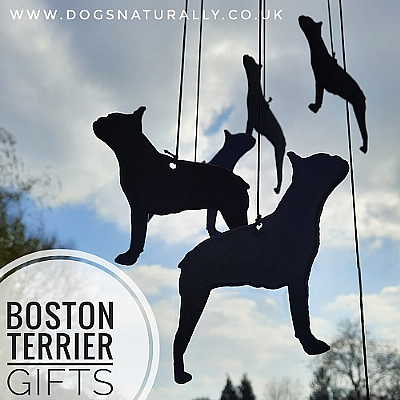 Boston Terrier Luxury Gifts